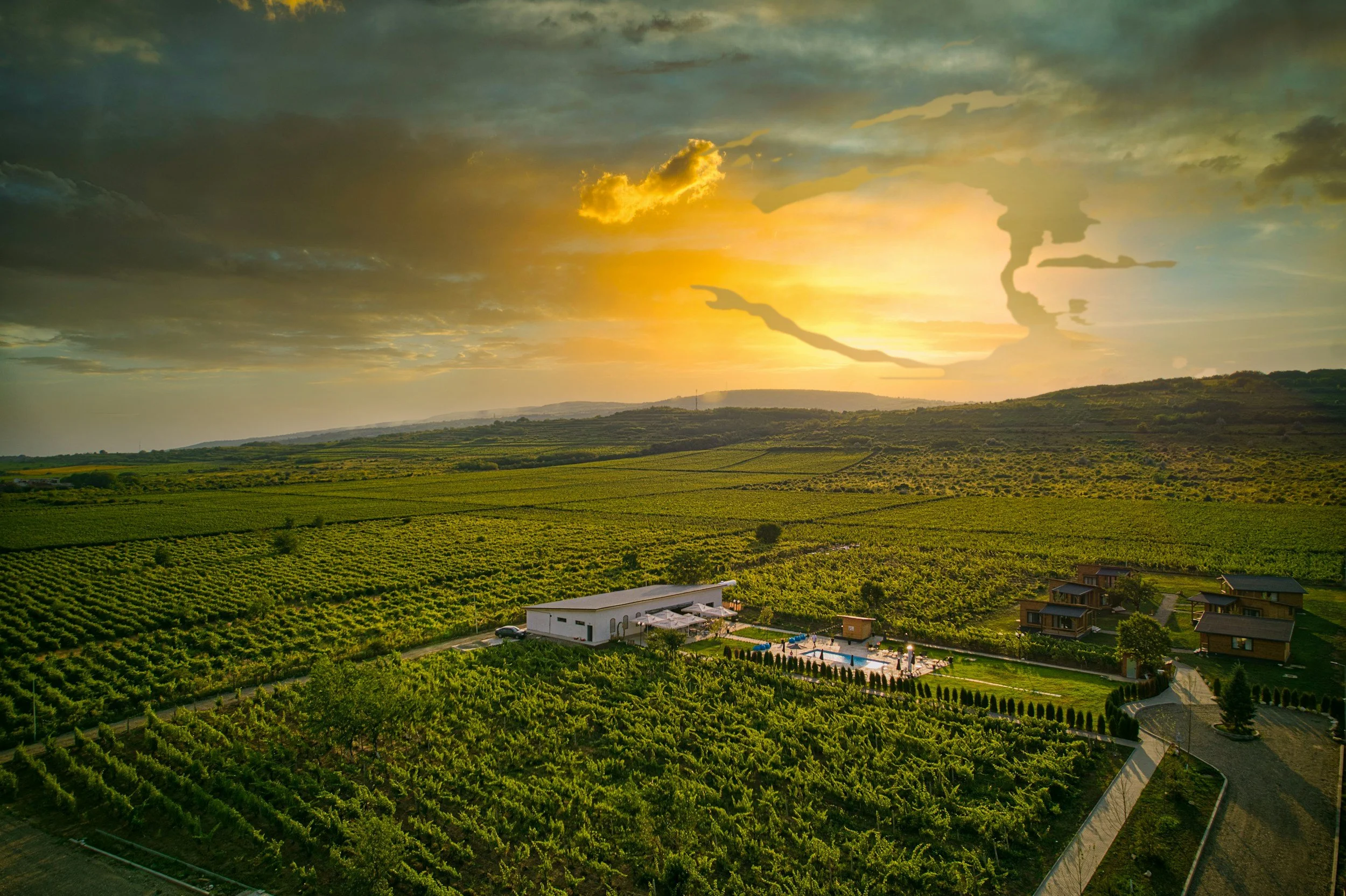 Private Estate Wine & History