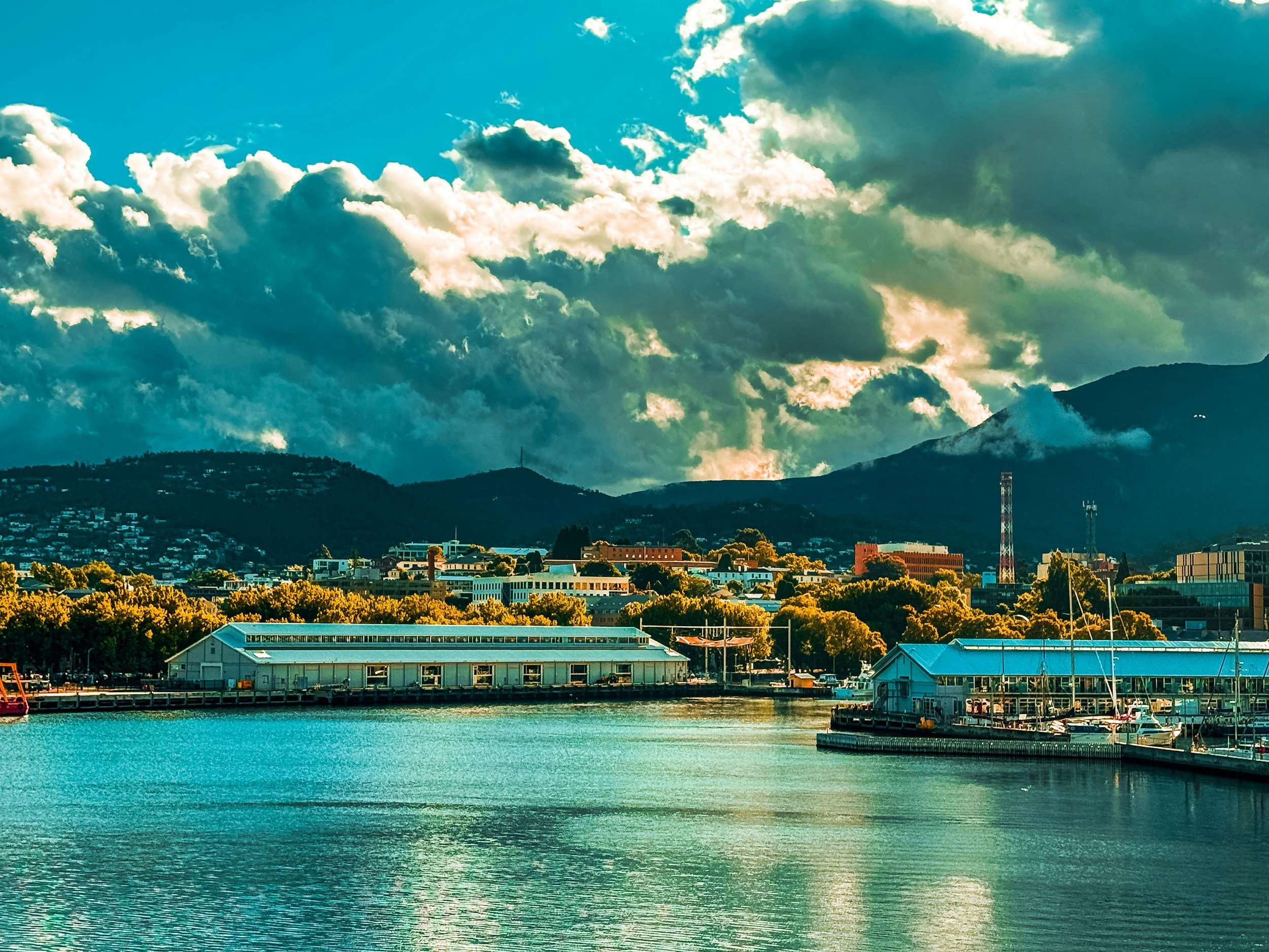Essential Hobart 2026: The Top 5 Group Adventures