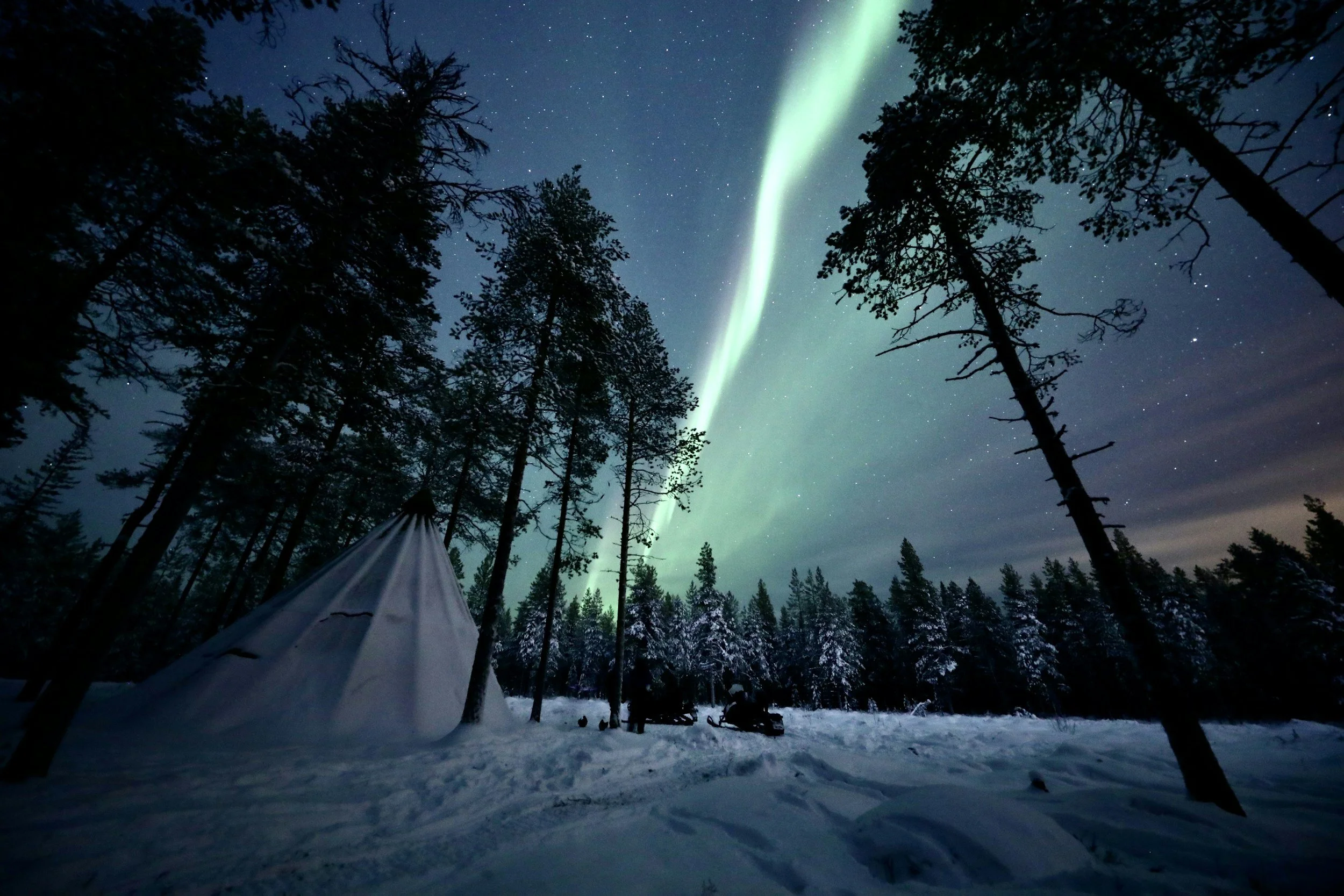 Beyond the Northern Lights: Your Group's Ultimate Outdoor Adventure Guide to Rovaniemi 2026