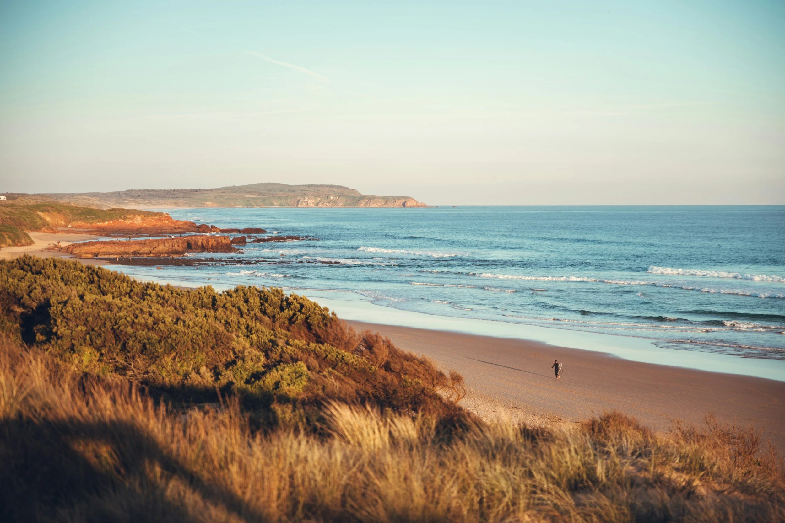 Cowes 2026: Your Expert's 5 Must-Do Phillip Island Expeditions