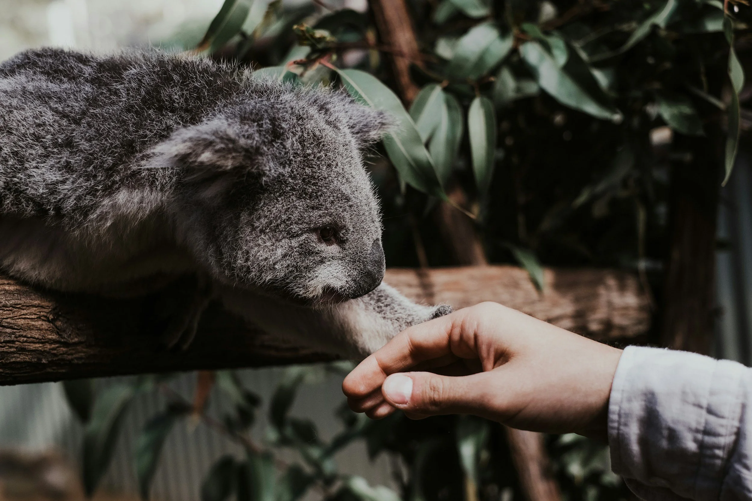 Oxenford's Epic Group Getaways for 2026: Your Ultimate Planning & Activity Guide