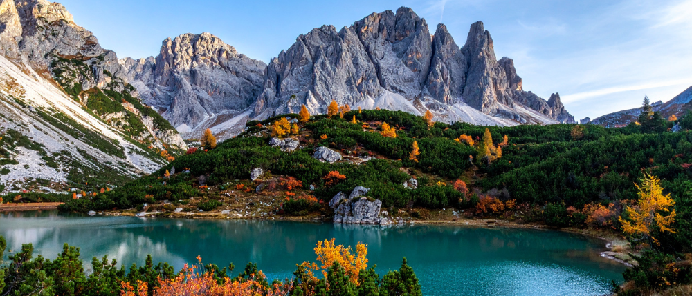 lago-dajal-forest-lake.png