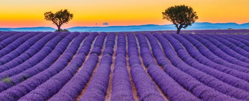 south-of-france-tour-provence-cote-dazur-7-days-3.jpeg