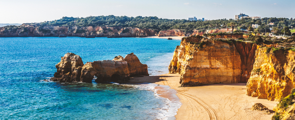 Detail of Algarve Beach