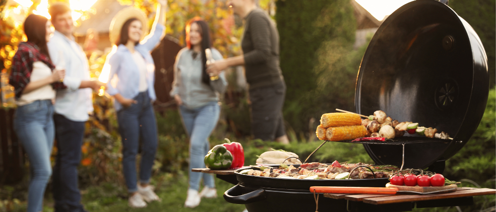 group barbecue dinner in park outdoor summer.png