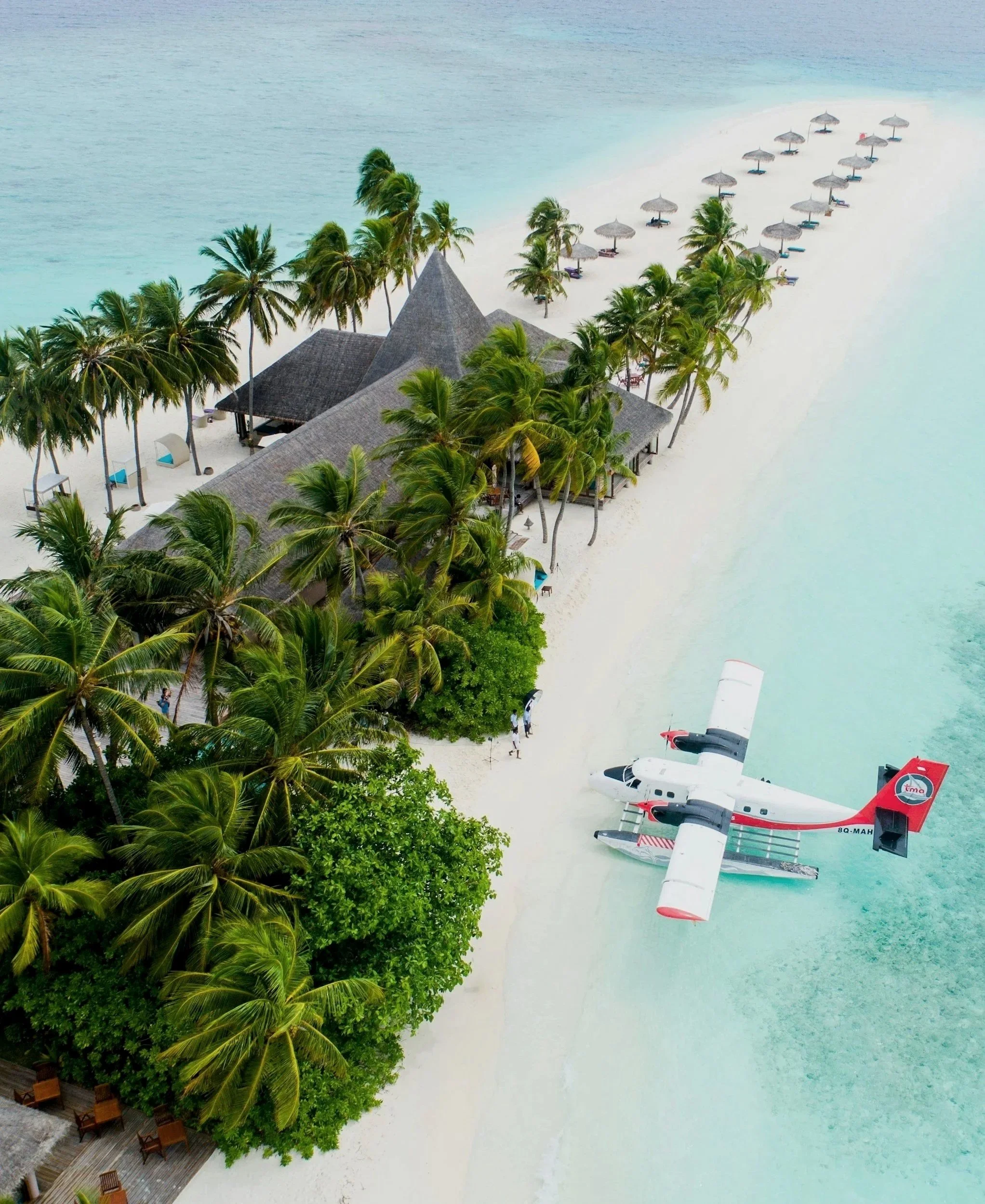 Aerial view of a tropical beach with palm trees, a thatched-roof hut, lounge chairs under umbrellas, and a seaplane on clear turquoise water.