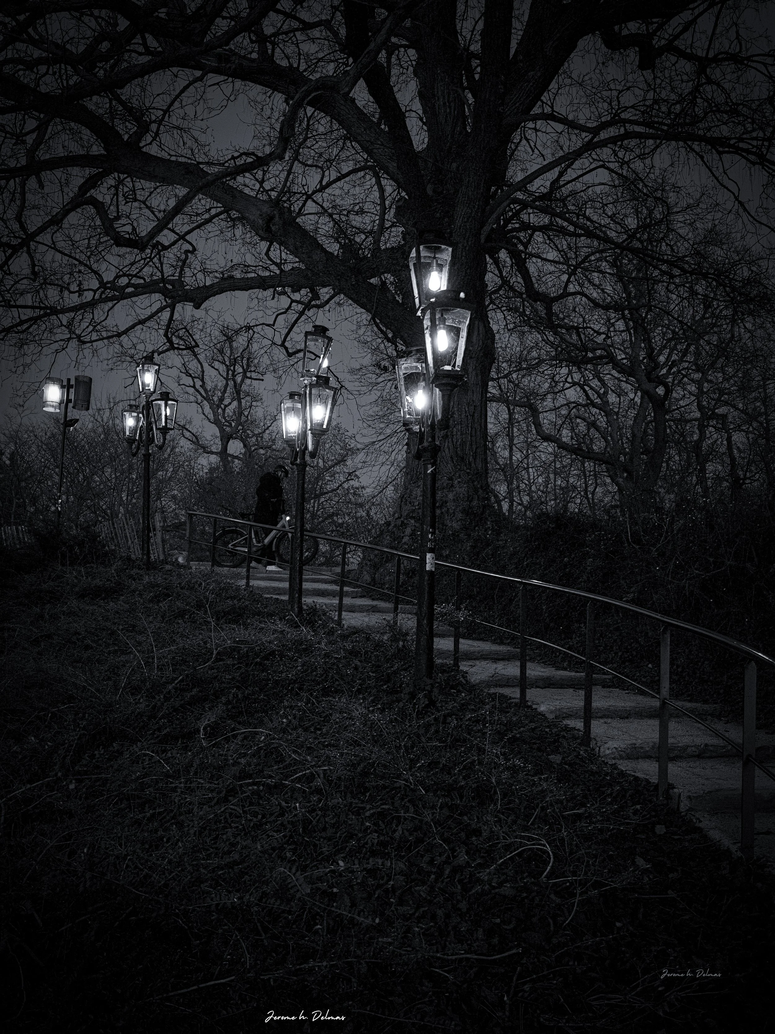 REMONTÉE DU CHALET DES ILES-BOIS DE BOULOGNE