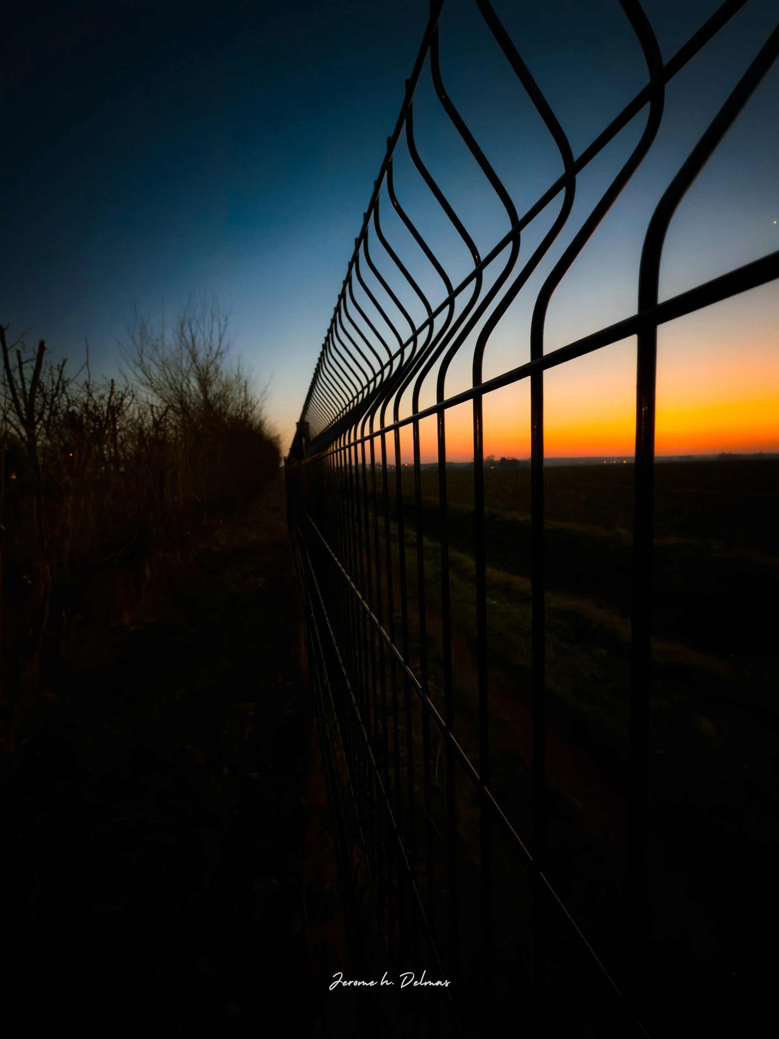 close up-1 copie.jpg