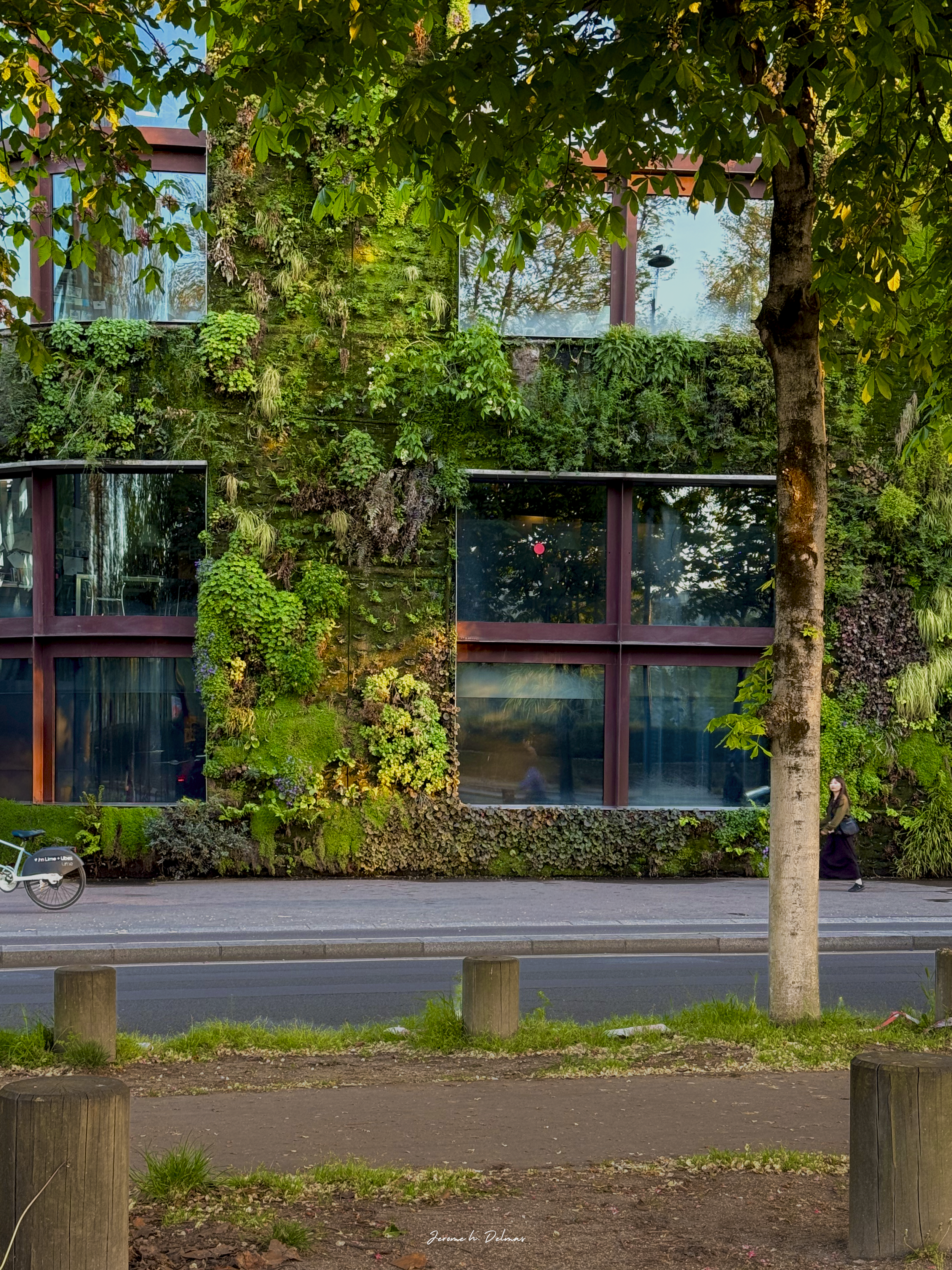MUR VEGETAL MUSEE J.CHIRAC QUAI BRANLY.png