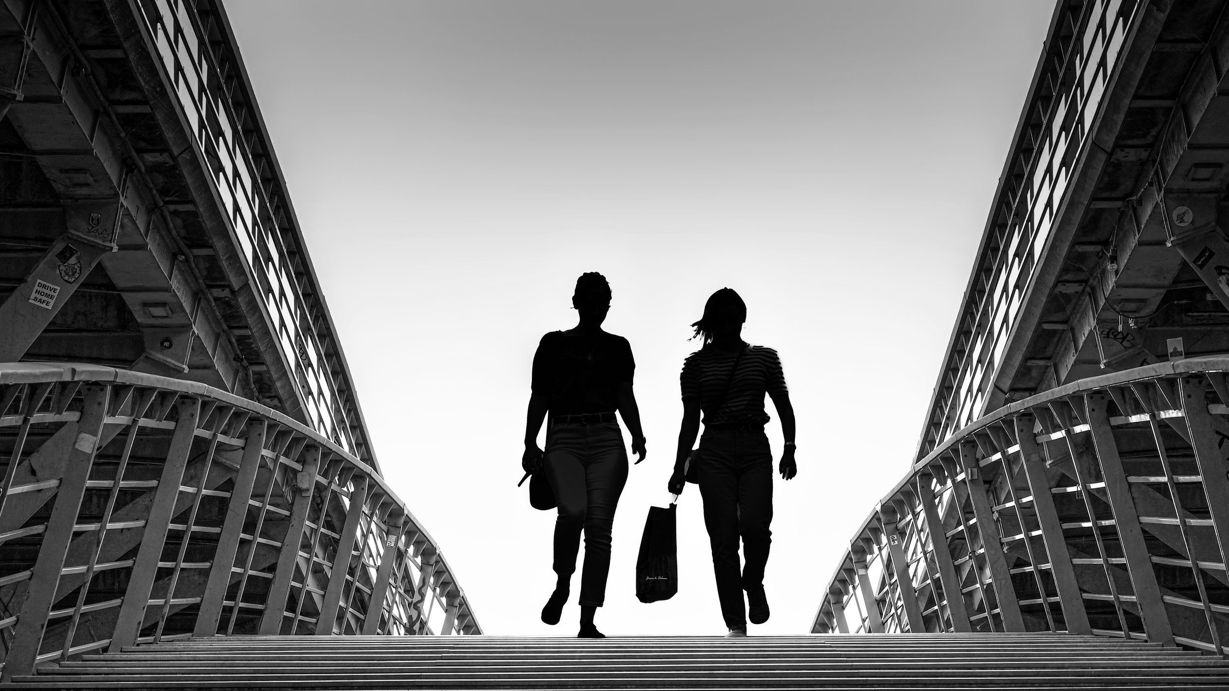 CONTRE JOUR -1 copie.jpg