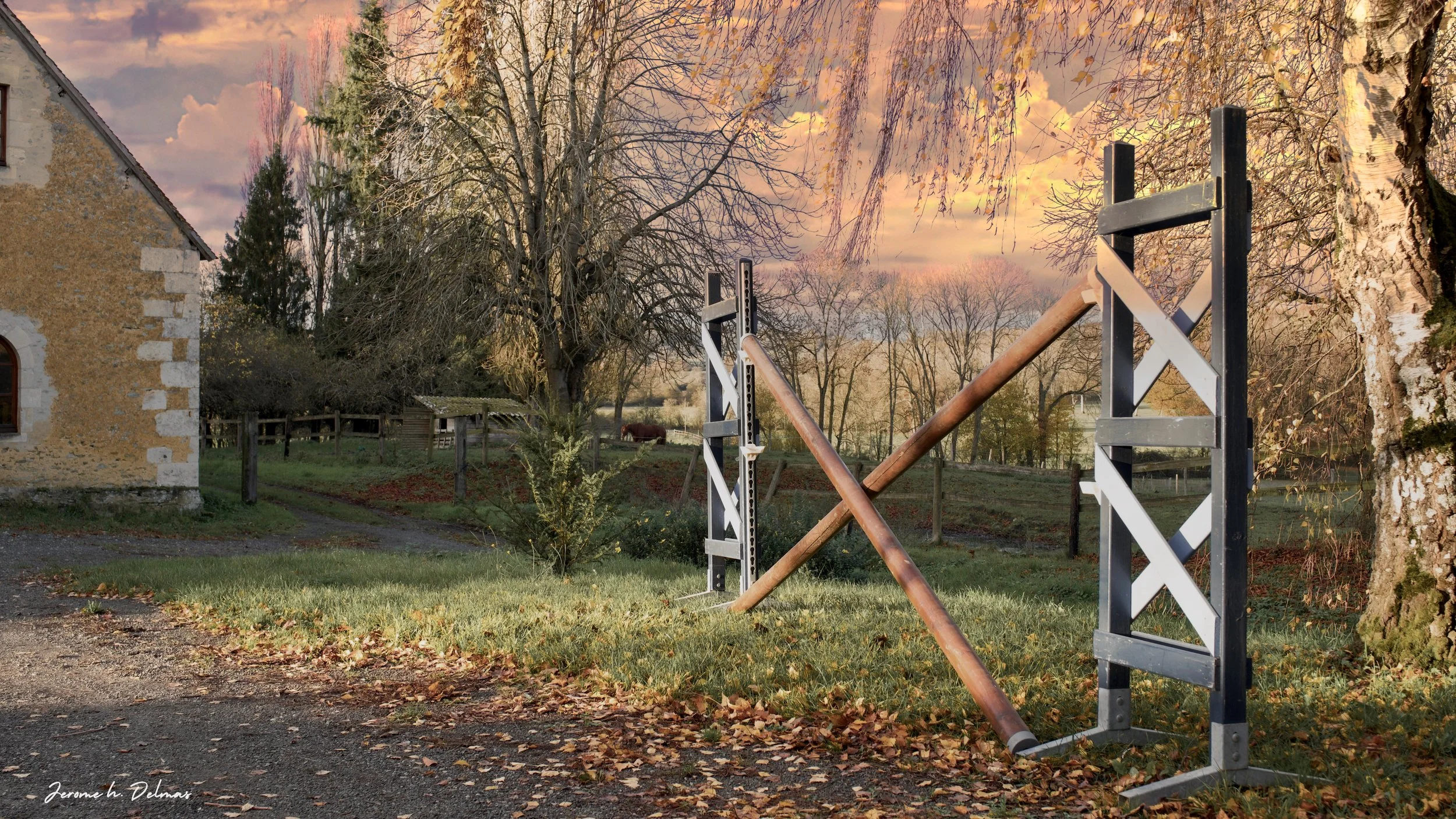 HARAS NORMAND. FEVRIER 2023