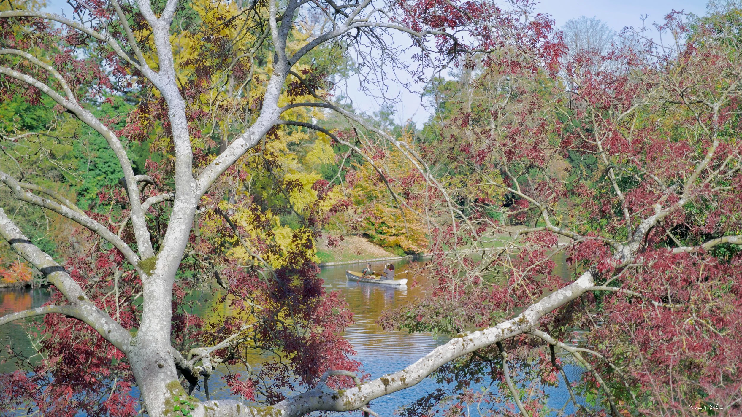 BOIS DE BOULOGNE 2025