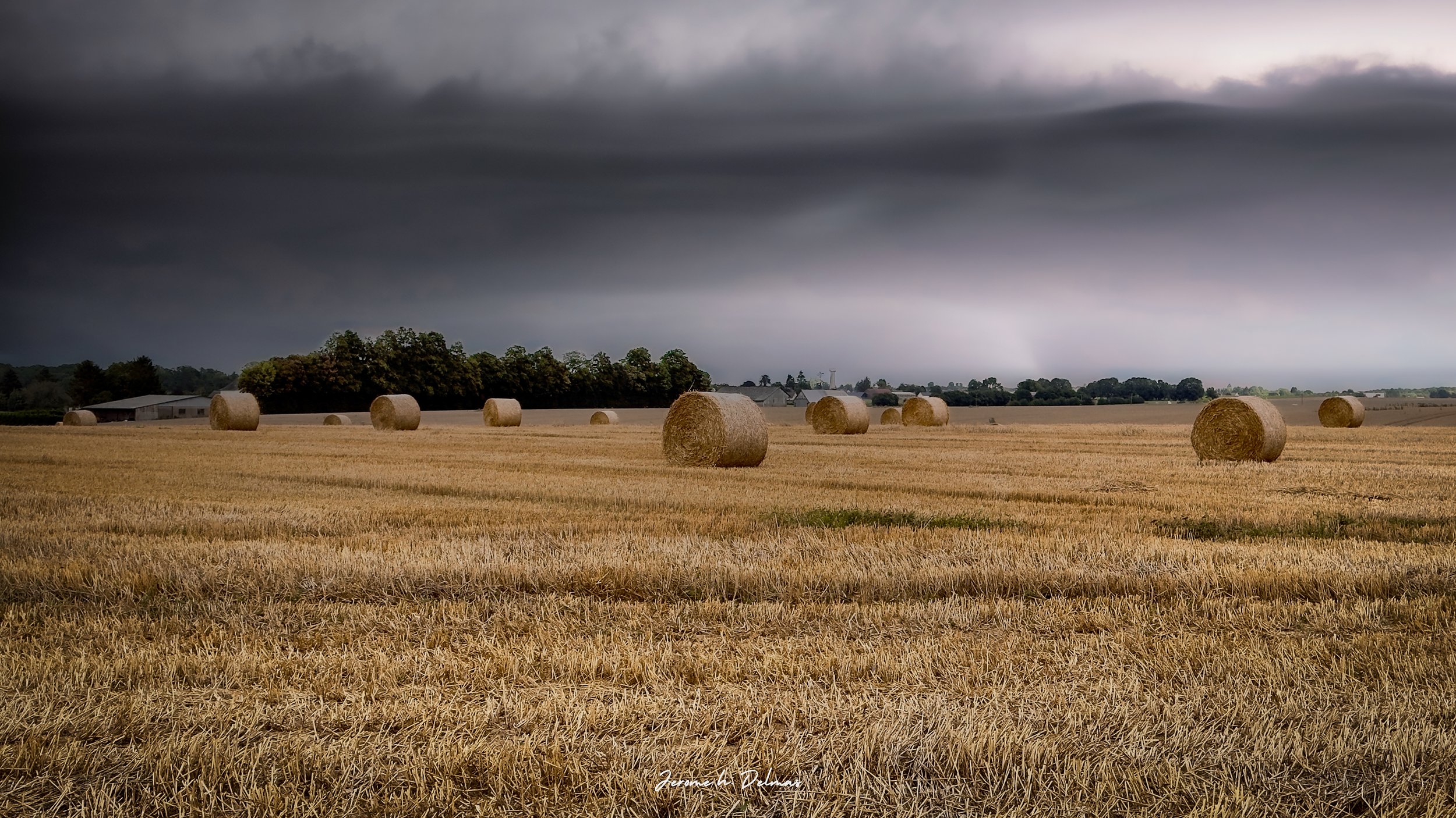 BLE FRAICHEMENT MOISSONNÉ EN NORMANDIE. 2025
