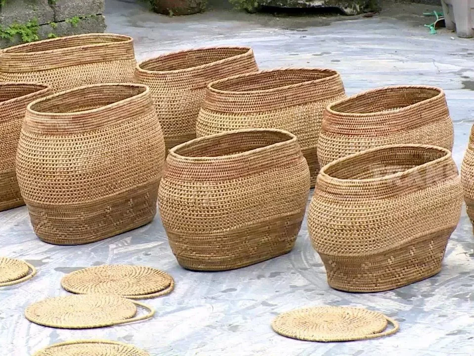 森・手仕事・知が編む、ひとつの植物の系譜： Ketak