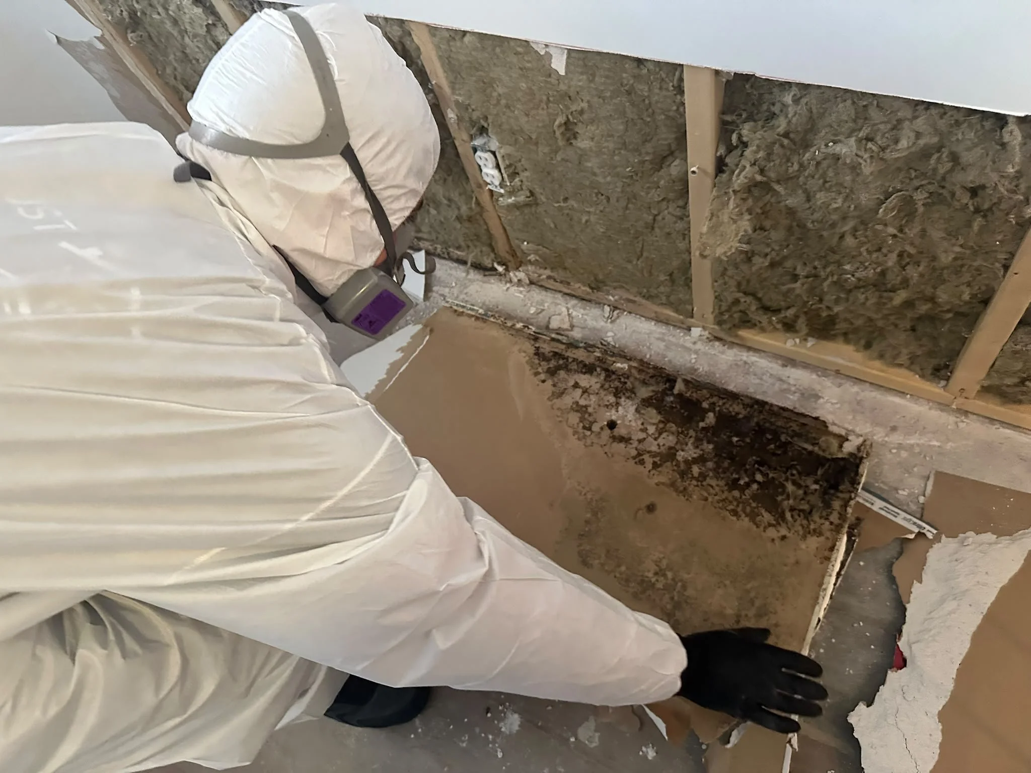 Mold Remediation