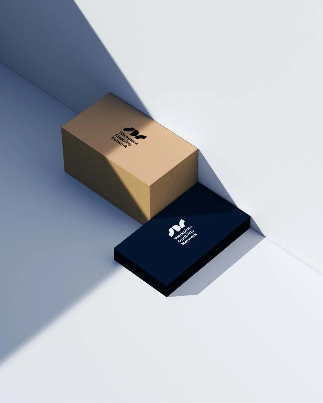 Two rectangular boxes with the logo and text 'Workplace Disability Network' on their tops, one beige and one black, in a minimalistic setting with shadows cast on a white and blue background.