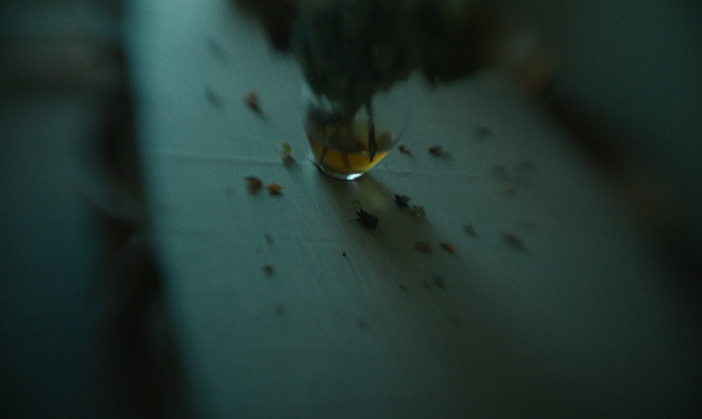 Untitled_1.1.1-3.jpg