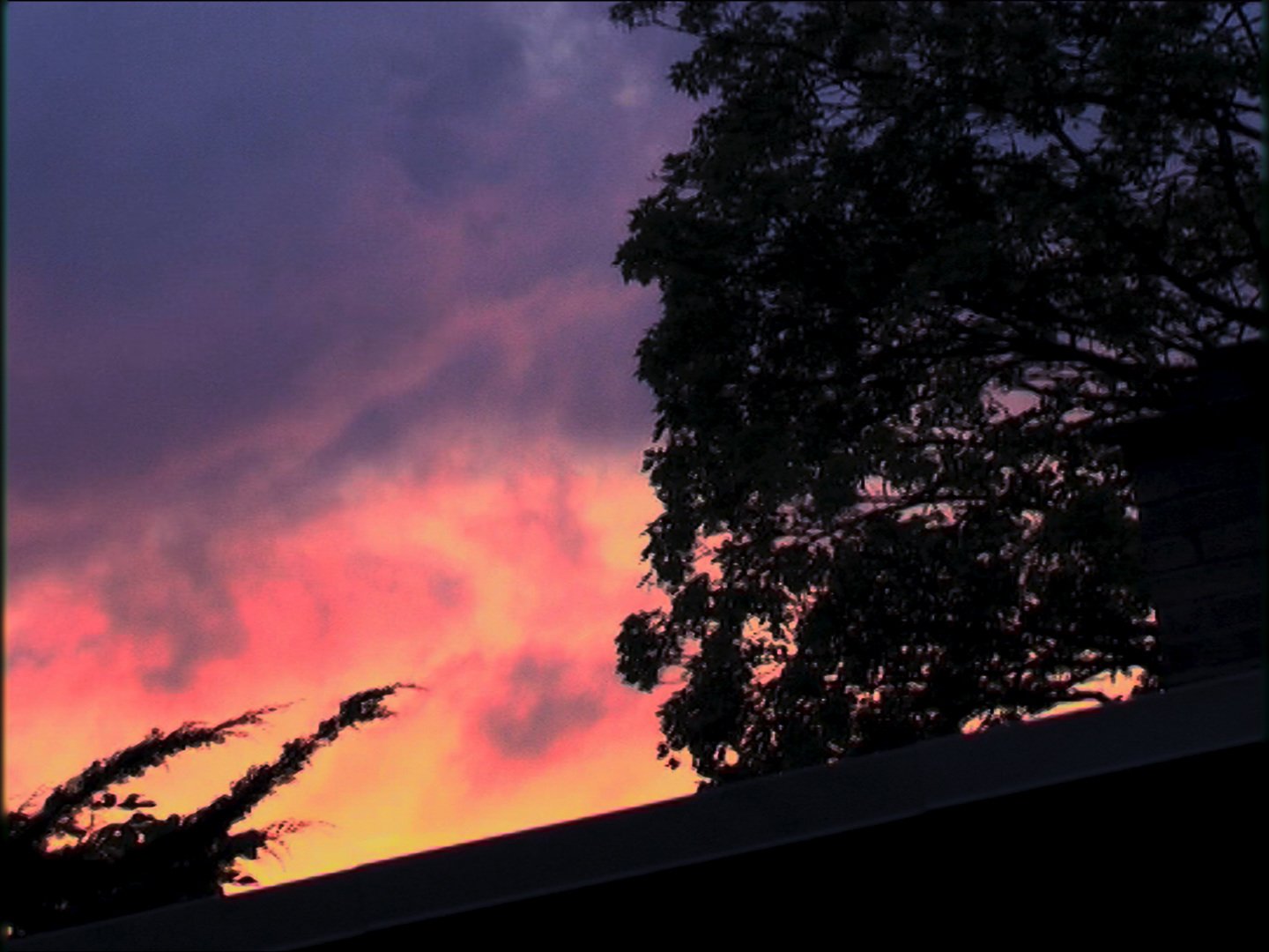 Untitled_1.1.1_1440.jpg