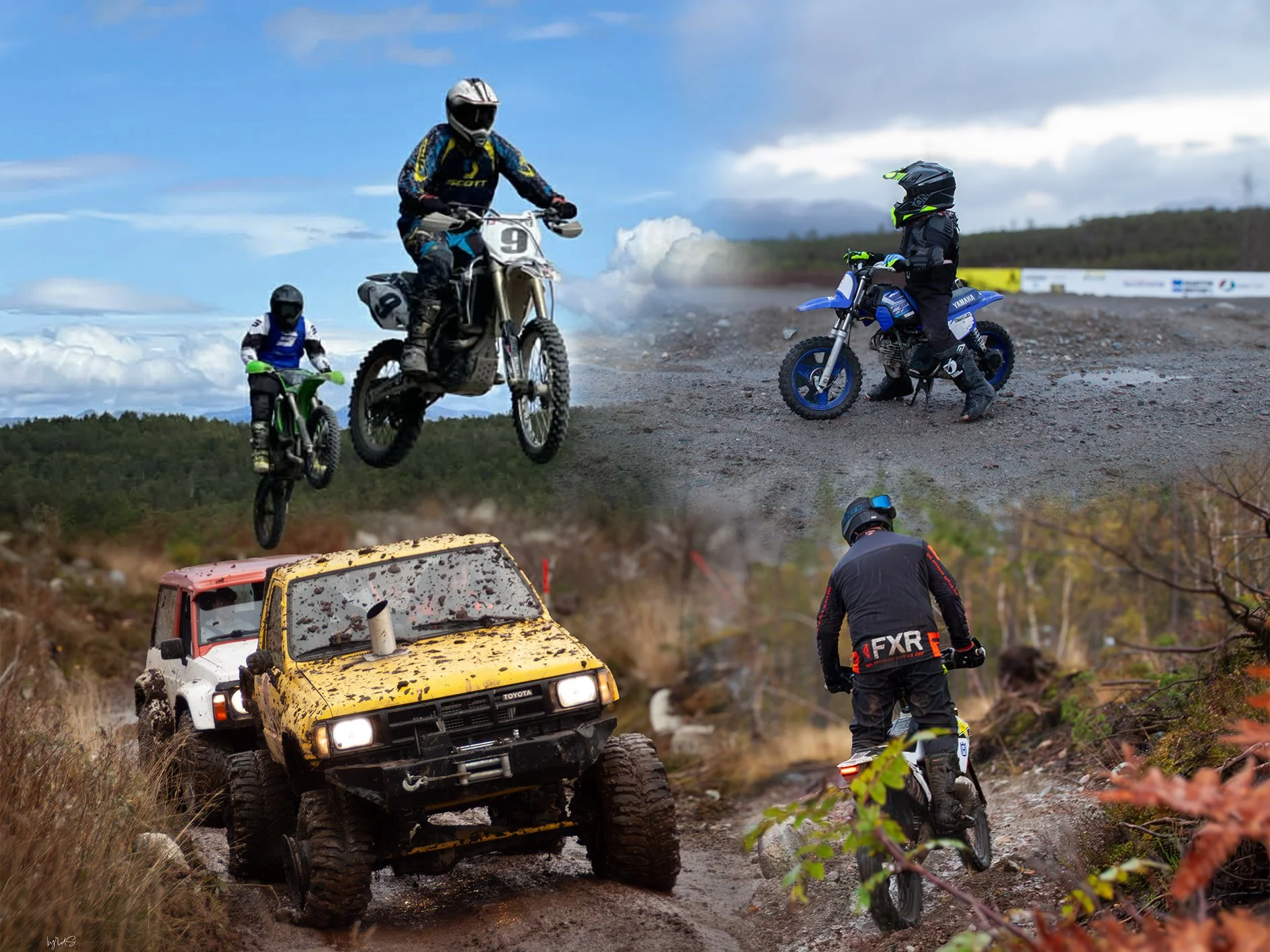 Bilde av ein grøn bil