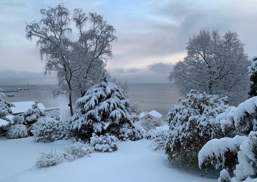 Et &aring;r i Vestnes ❄️🌷🌈🍂

📸: @jbruseth 

#ivestnes