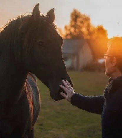 En mann stryker en hest over mulen