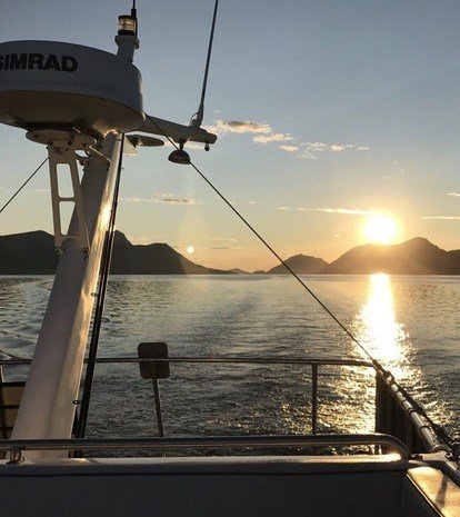 Bilde tatt frå ein båt som kjører på havet. Det er fint vær og låg sol. I bakgrunnen ser ein stille hav og fjell