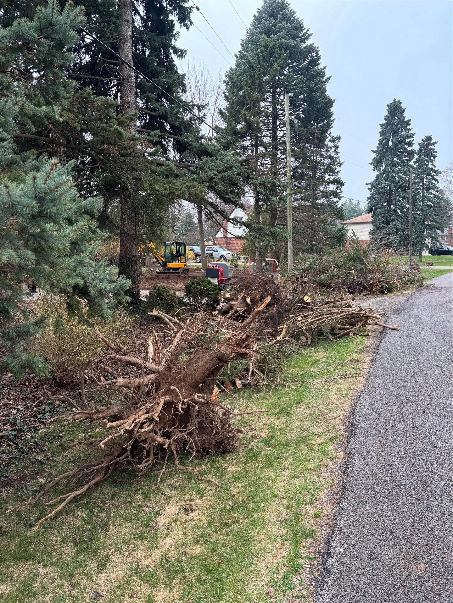 Took down and dig out 8 trees to make room for this 16&rsquo; by 35&rsquo;, 8&rdquo; thick pad ready and waiting for the new garage.