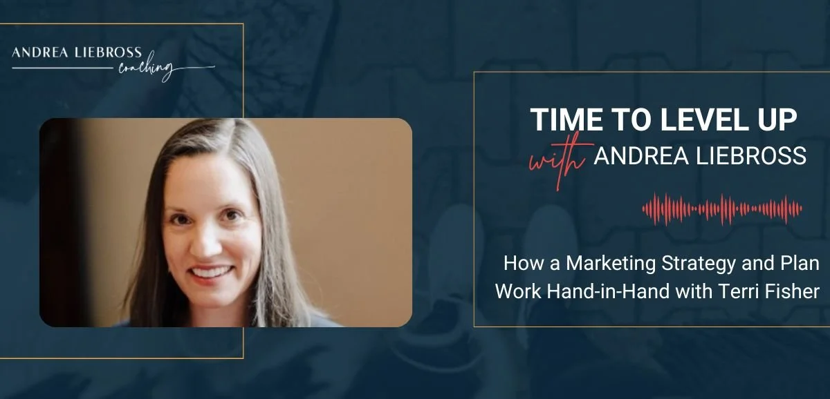 168: How a Marketing Strategy and Plan Work Hand-in-Hand with Terri Fisher