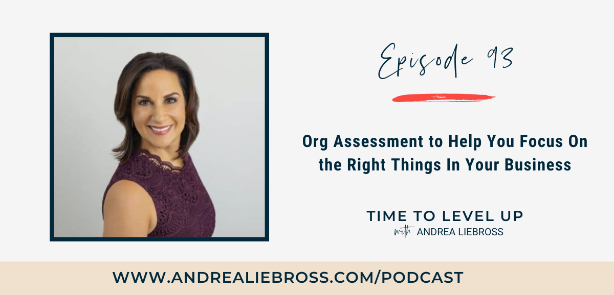 93: Org Assessment to Help You Focus On the Right Things In Your Business