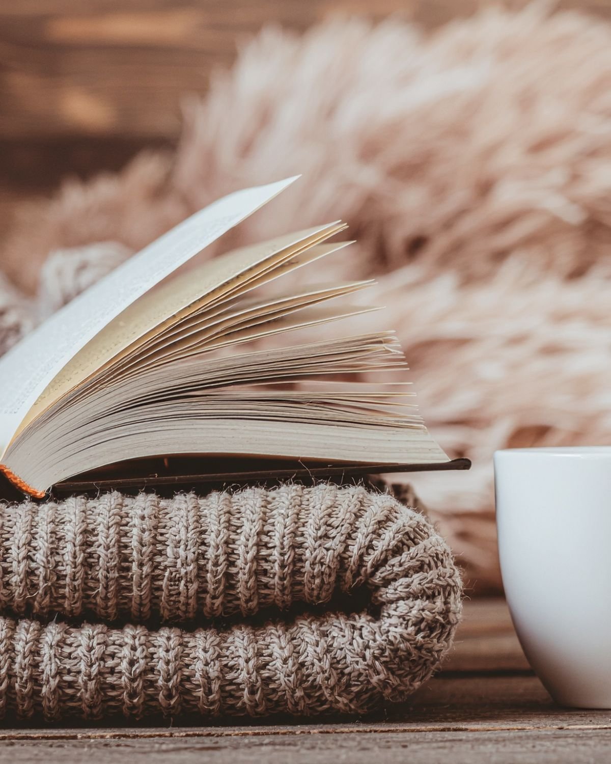 Reading Update: Picking my own books