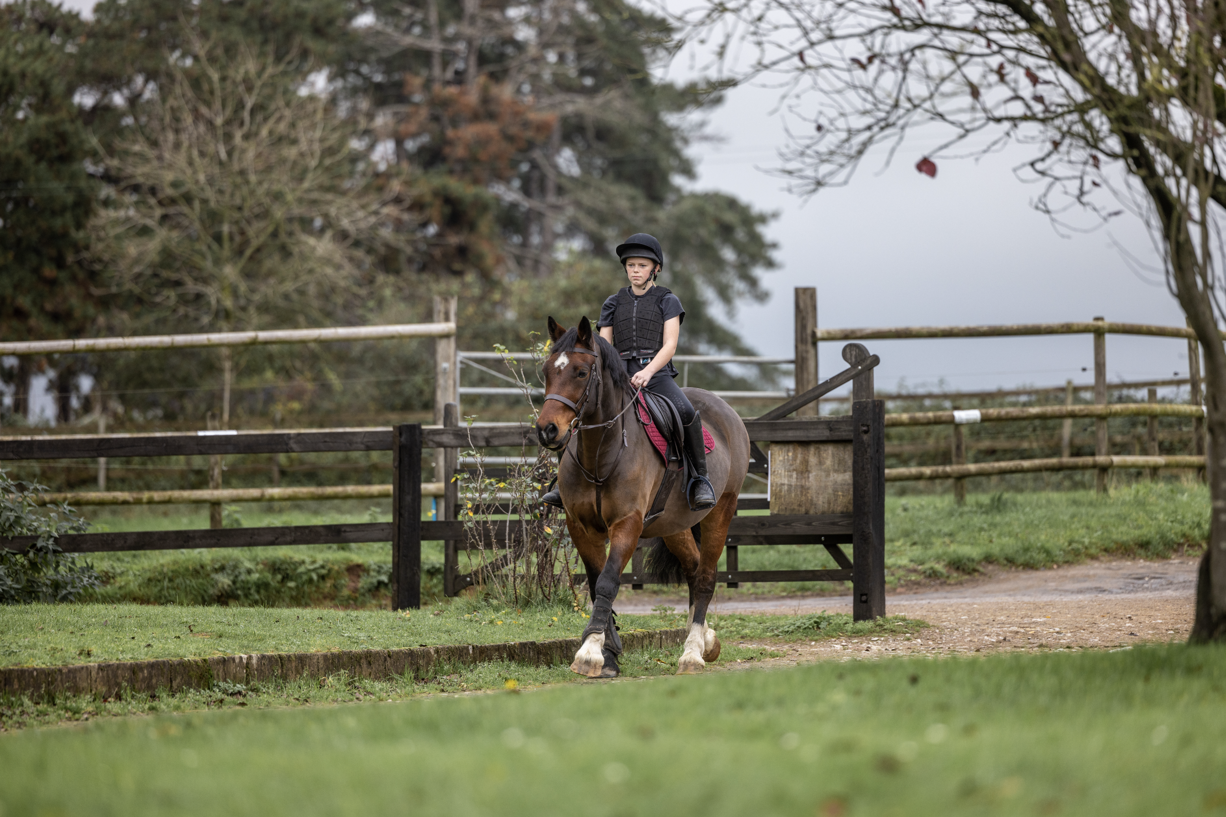 A young girl riding a brown horse with a black mane, walking along a dirt path near a wooden fence in a grassy outdoor area with trees.