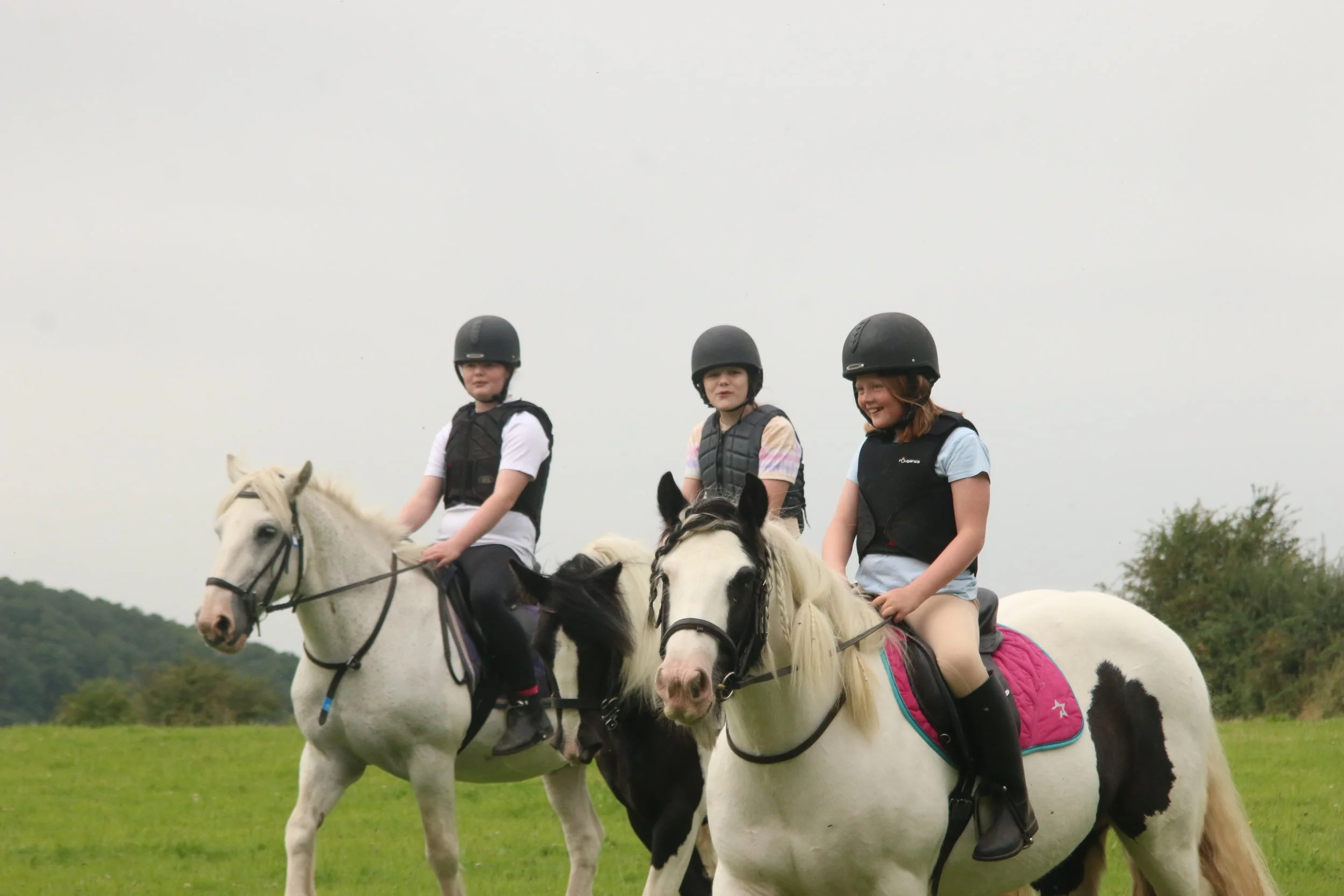Three children riding horses in a grassy field, wearing helmets and safety vests, with trees and an overcast sky in the background.