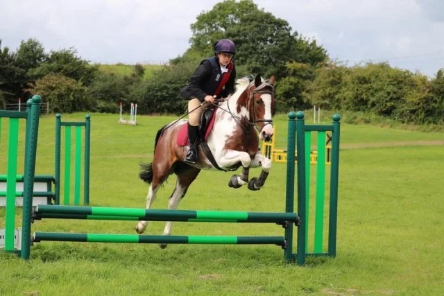 A person riding a brown and white horse jumps over green and black obstacle in a grassy field, with trees and sky in the background.