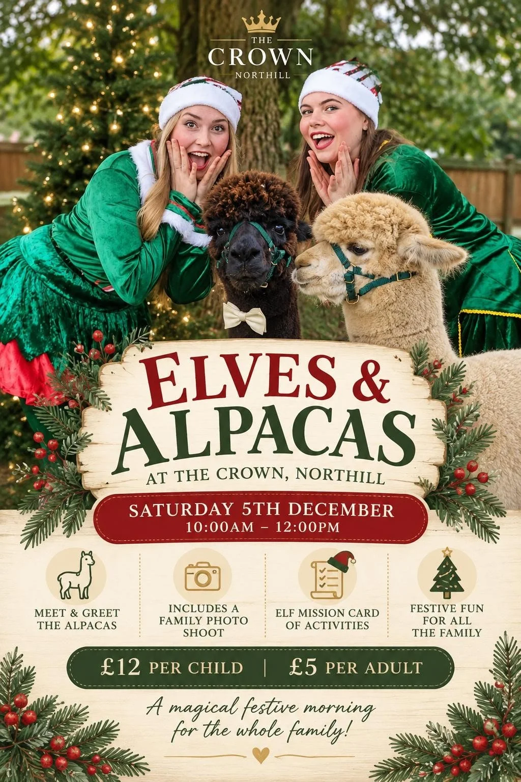 Elves &amp; Alpacas 5th Dec