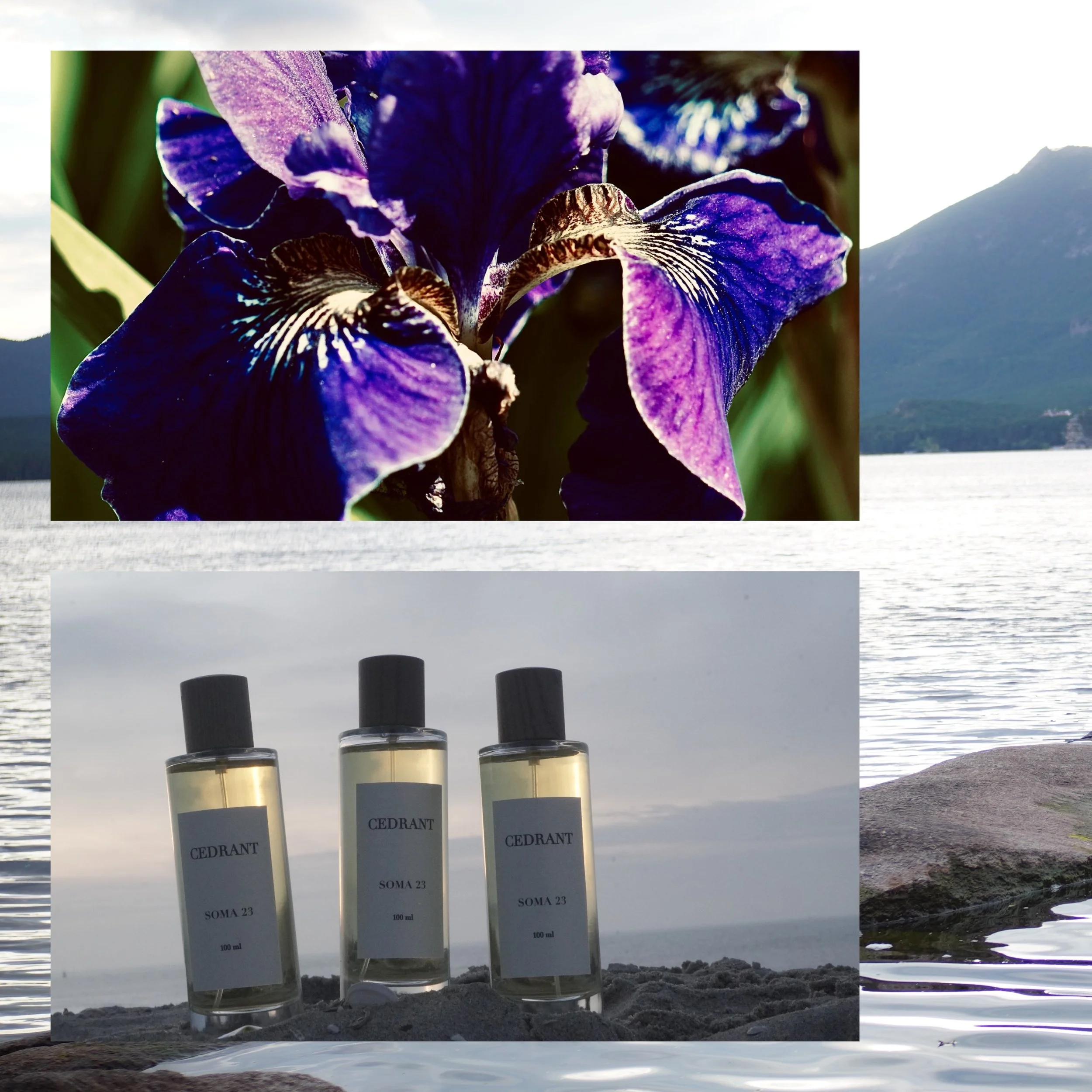 There&rsquo;s a reason orris and cedarwood are the backbone of high perfumery. Orris root takes years to age before it yields its buttery, earthy sweetness. Cedarwood provides the timeless, resinous structure that makes a scent linger for hours.
When