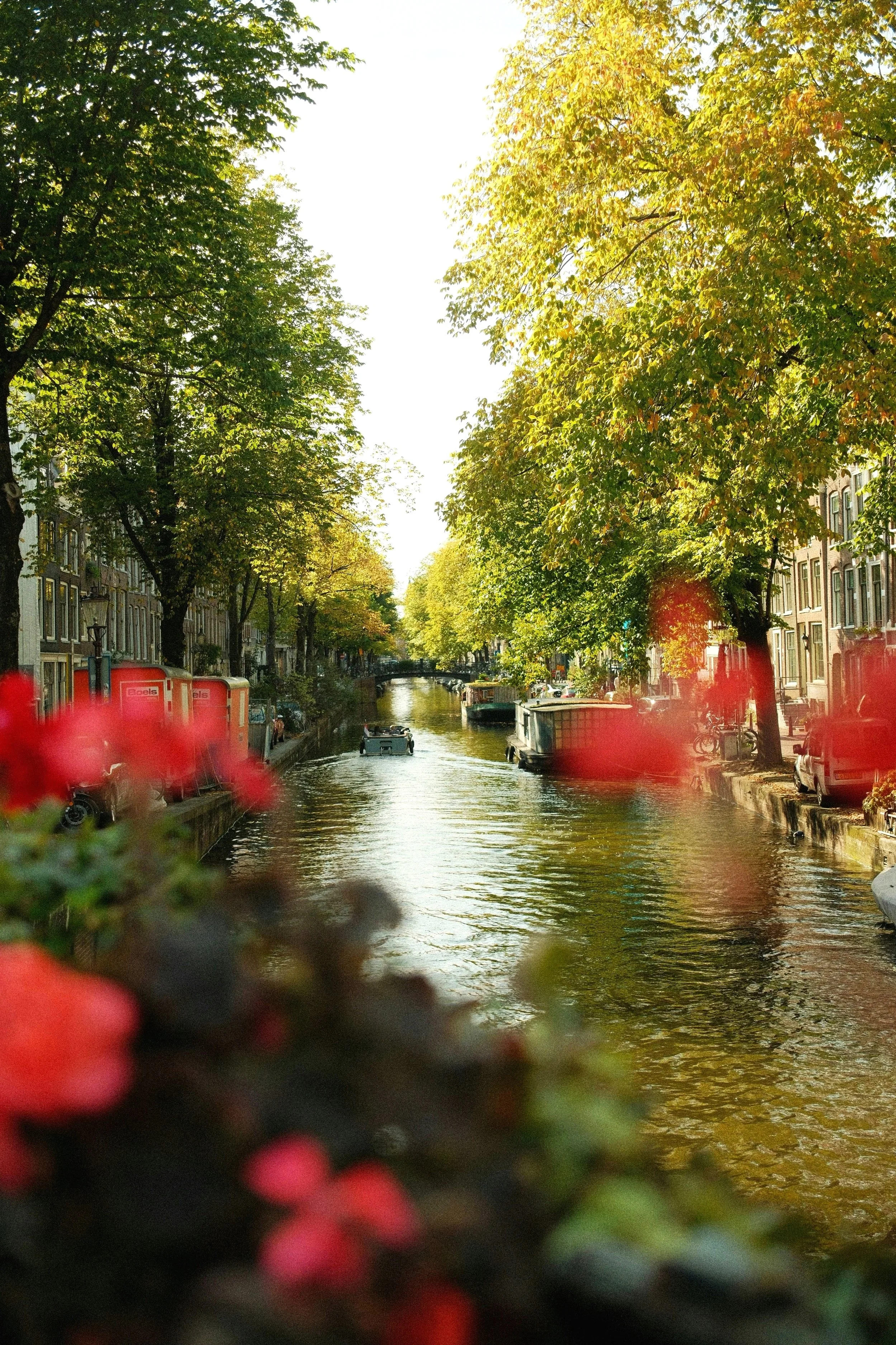 A canal view in Amsterdam during fall with trees overhead, boats on the water, and buildings along the sides, some with red flowers in the foreground.