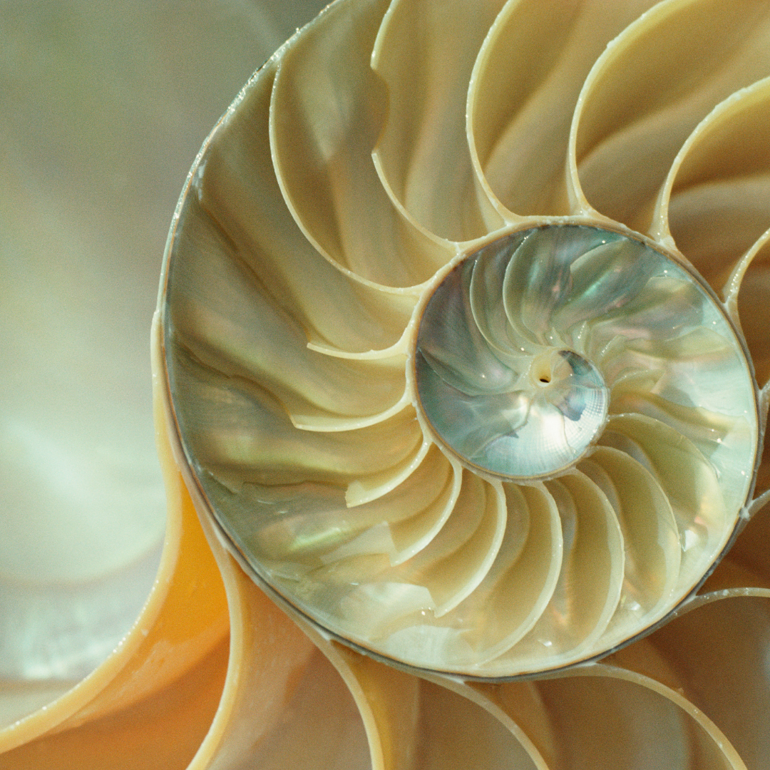 Functional Diagnostic Nutrition