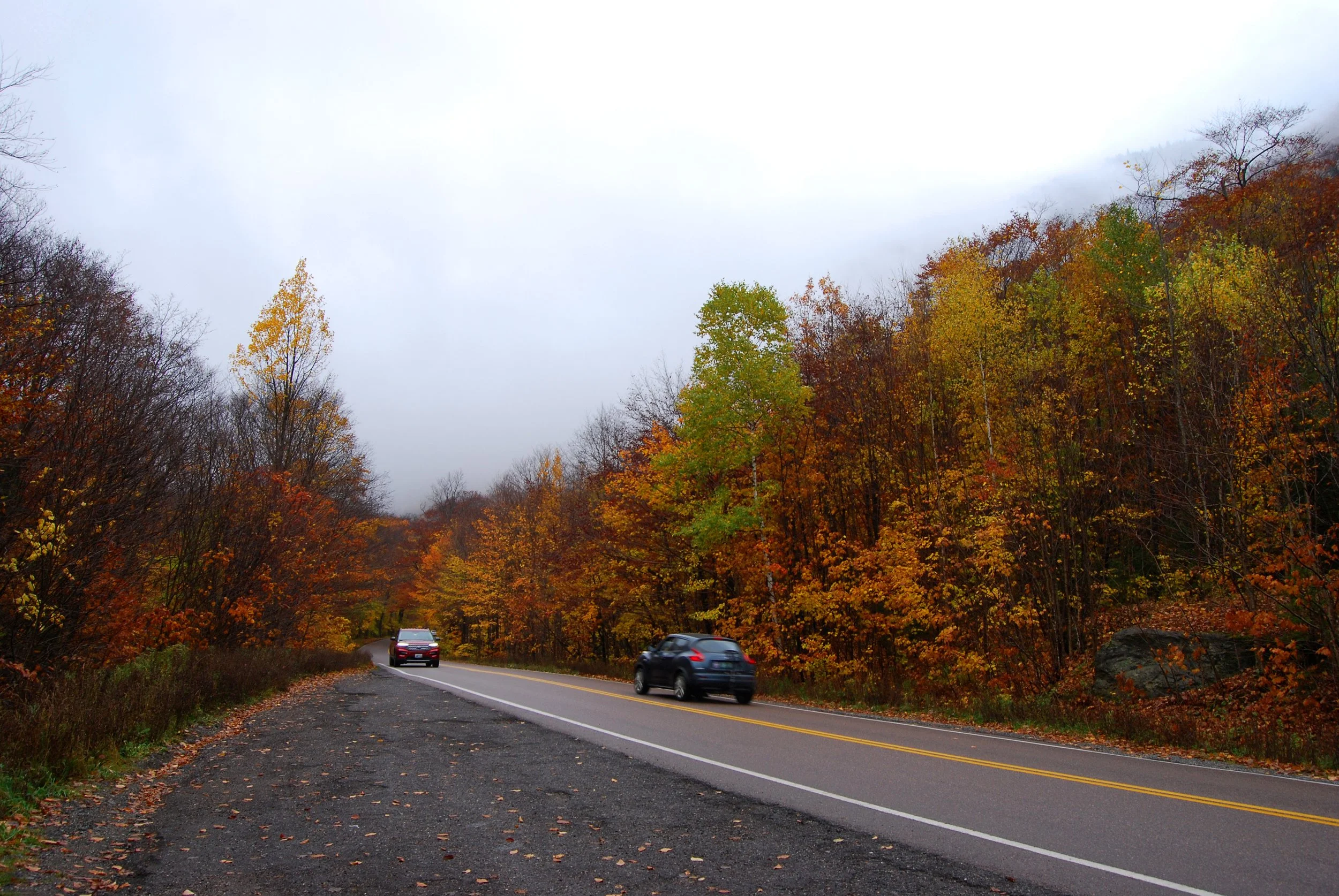 golden road.jpg