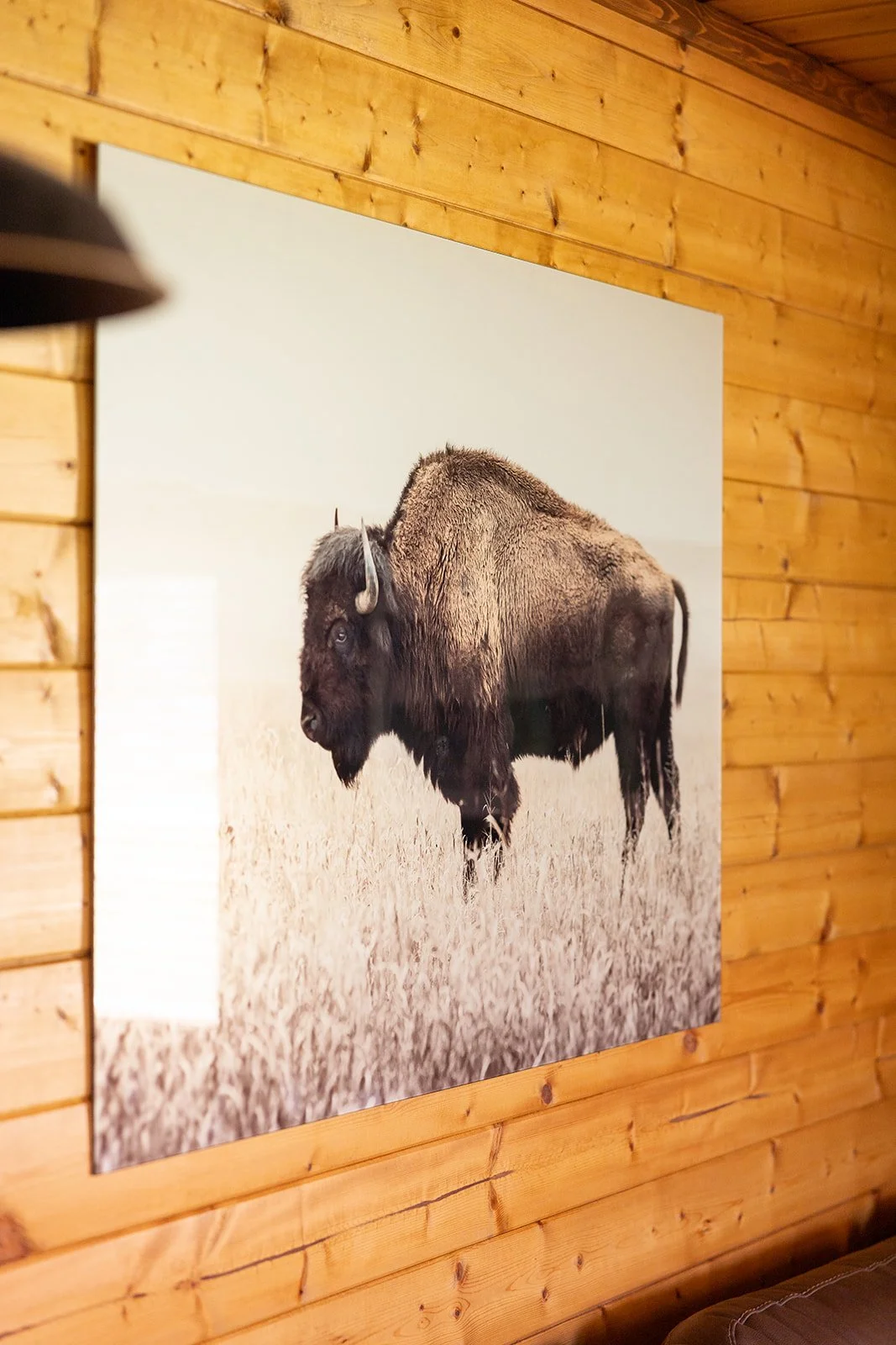 The 5 Most Luxurious Places to Stay in Jackson Hole for Your Elopement