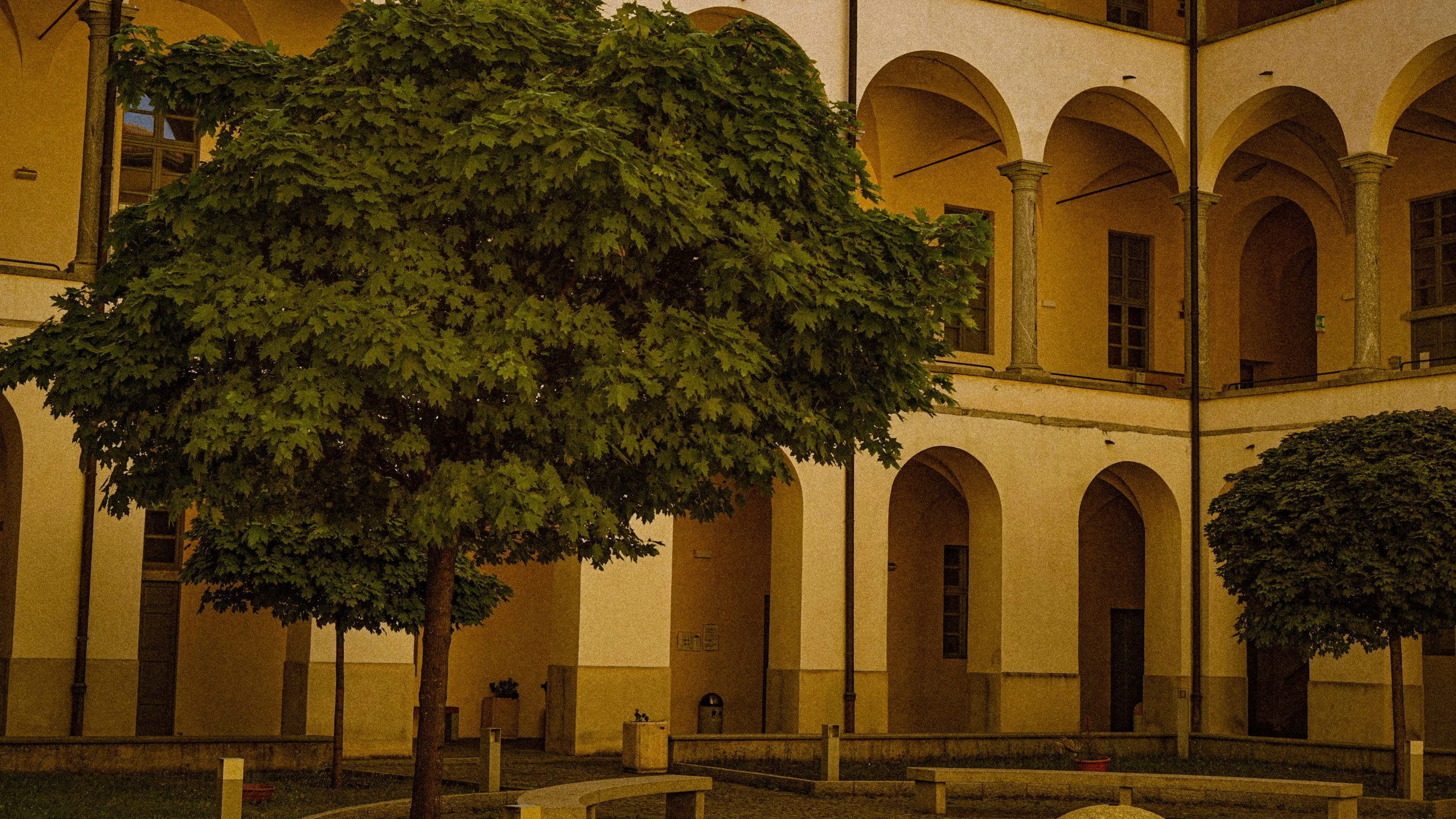 A courtyard at dusk with two green, leafy trees and a beige building with arched windows and columns surrounding a balcony.