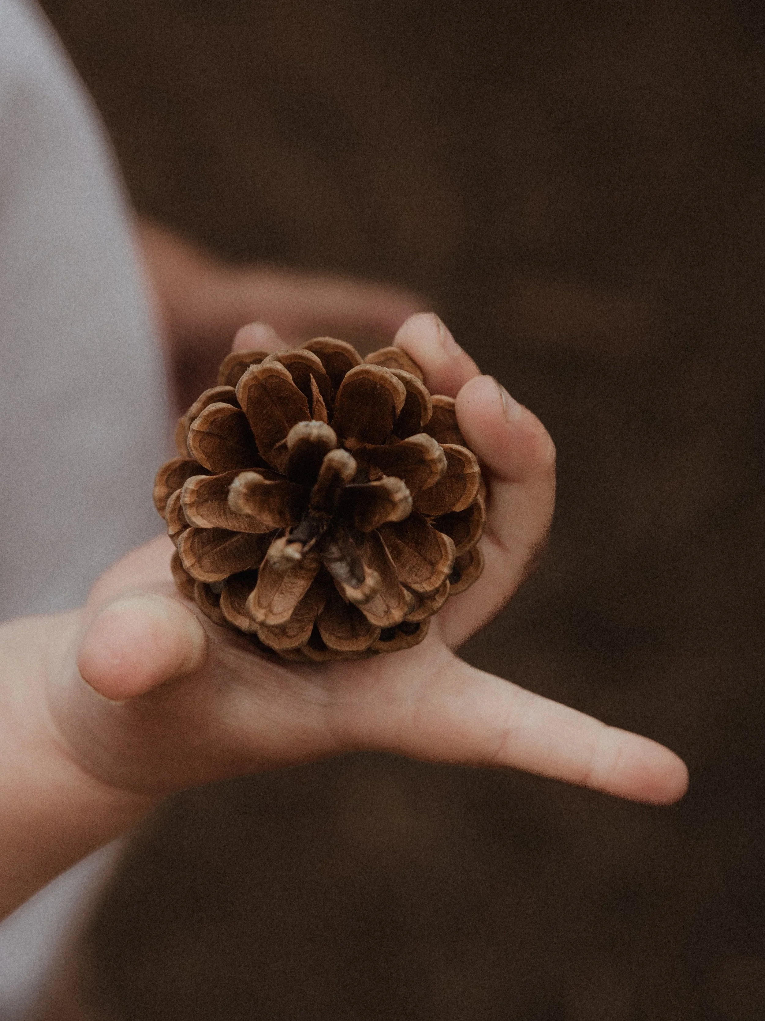 Just a spring afternoon in the woods 🌿🌳

Collecting natures treasures, climbing trees and following little feet. 

Some of the best memories are made in the moments we step back and let them explore their little world. 

🌿 Natural storytelling wit