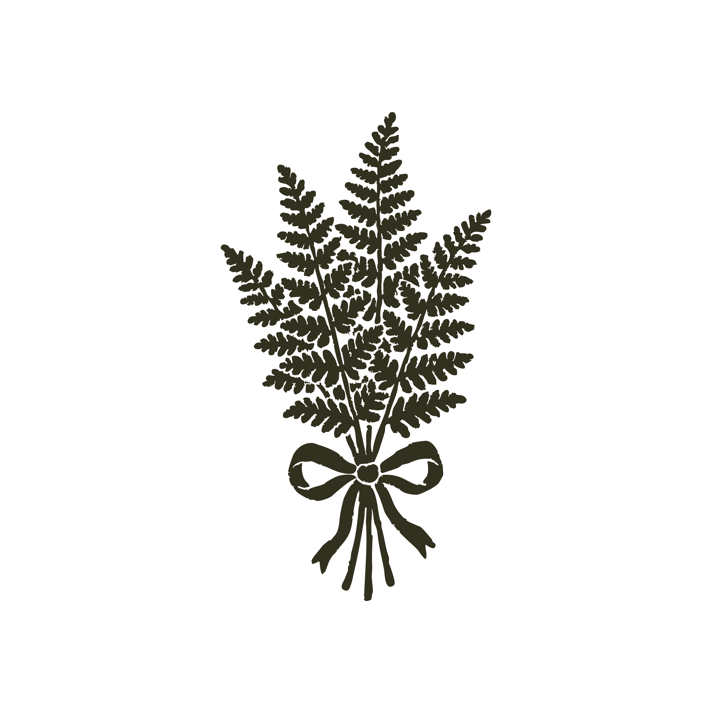 A black outline drawing of a fern plant tied with a bow.
