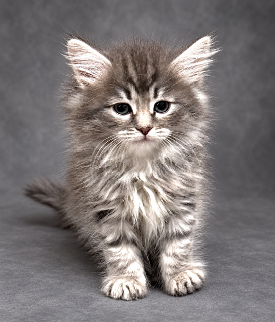 55B02E20-5247-48CB-A9C4-3AB283F3FF5A.PNG