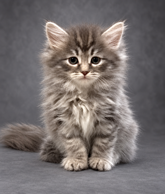 C62675FE-101B-48EB-B969-9D41EB52BC57.PNG