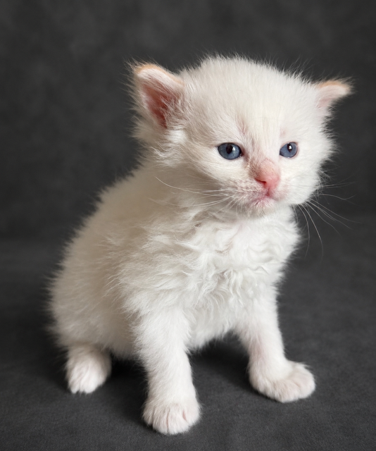 BE9434B0-1AB5-45CB-B1C6-F253F949EF40.PNG