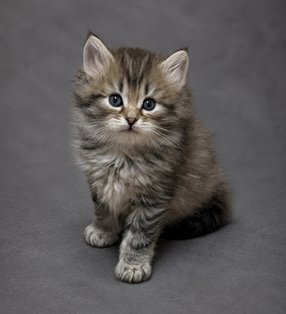 01D0663E-E66C-4835-8A15-457F8DCB4702.PNG