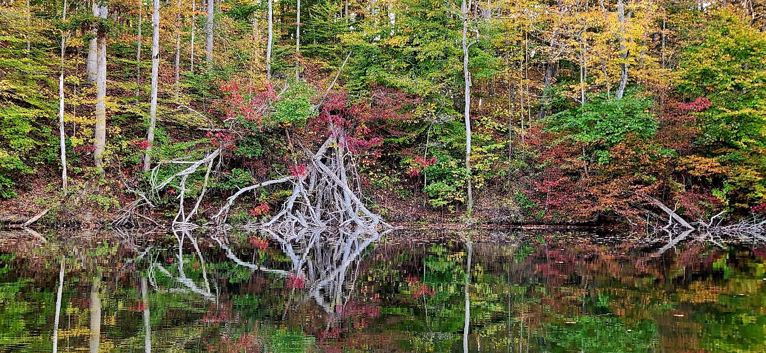 Beautiful autumn landscape reflections in Indiana, captured by Bethany Lechlitner.
