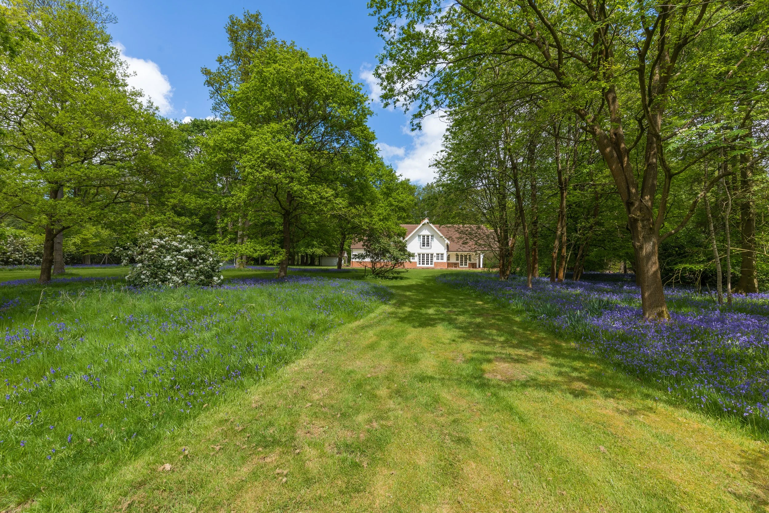 A house at the end of a grassy pathway surrounded by tall trees and blooming purple and white flowers under a partly cloudy sky.