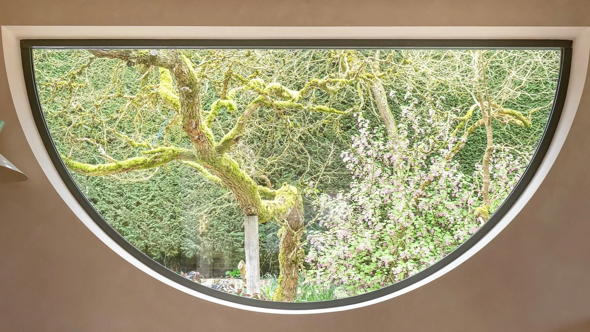 View of a garden with a moss-covered tree and pink flowering bushes seen through a large semi-circular window in a room with beige walls, a small couch, and a green lamp.