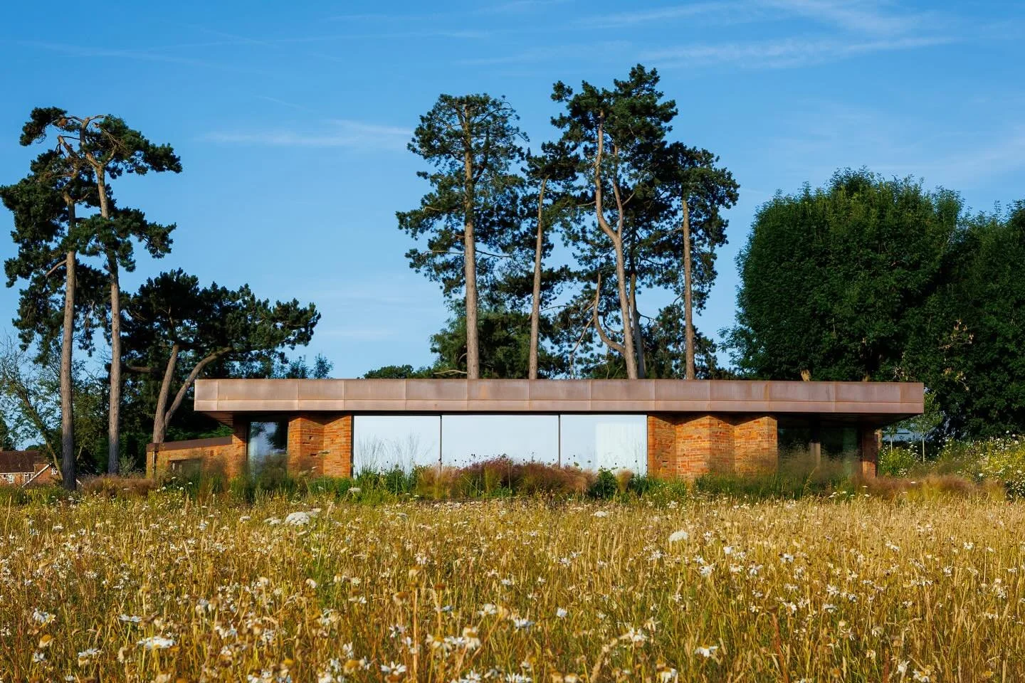 Modern single-story house with large glass windows, located in a field of tall grass and wildflowers, surrounded by tall trees under a clear blue sky.